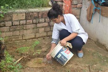 Volunteer watering the newly planted sapling.