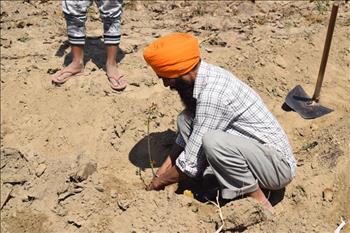 Nature Care Movement in its practical phase.