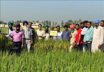 PAU-LCC Awareness Campaign