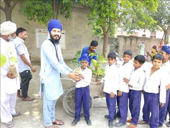 Tree Plantation Campaign