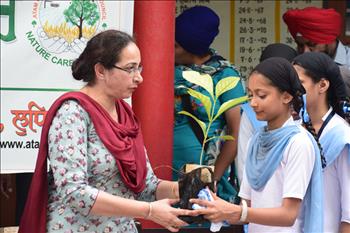 Dr. Ravinder Kaur Dhaliwal, distributing the saplings to the students.