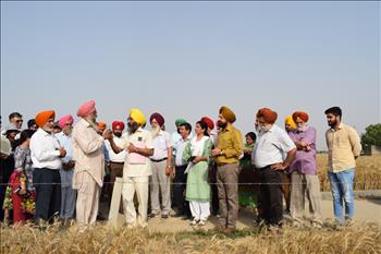 Dr. Varinderpal Singh, Sr. Soil Scientist, PAU, interacting with the farmer Rajinder Parkash at his field in village Bassian