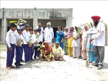 School staff planting the new saplings.