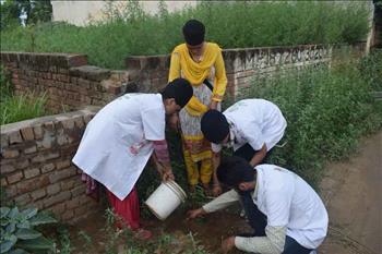 Residents and volunteers assisting each other during plantation. 