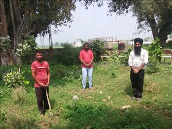 Triveni Plantation