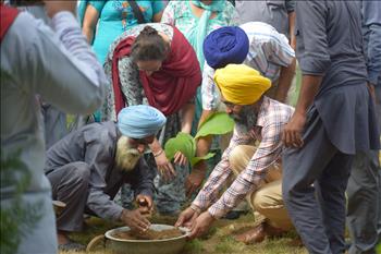 Volunteers and staff in action during tree plantation exercise.