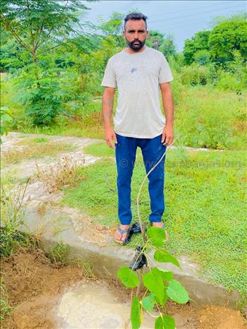 Triveni Plantation