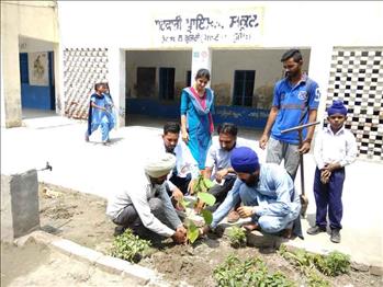Volunteers and staff jointly planting the saplings in the plant bed.