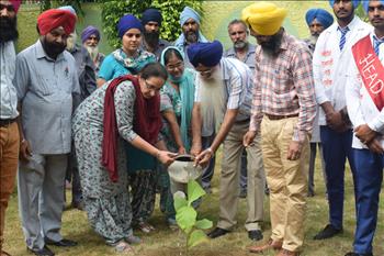 Tree Plantation Campaign